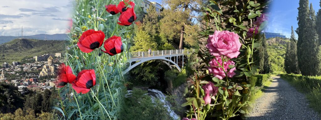 Tbilisi Вotanical Garden Wiews